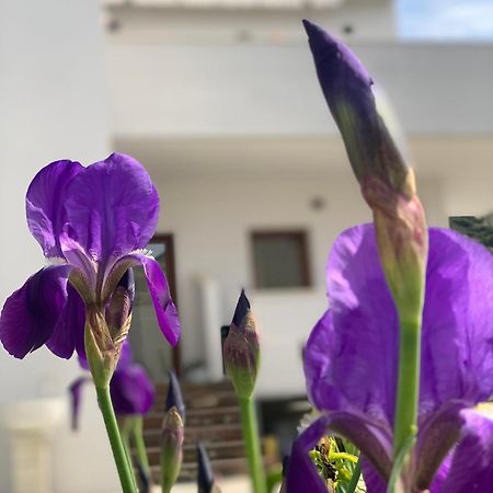 Villa Rreze Dielli Vlorë Εξωτερικό φωτογραφία